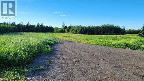 2.7Ac Chemin Saulnier Ouest, Tracadie, NB 