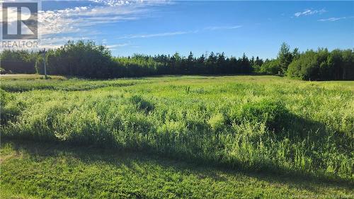 2.7Ac Chemin Saulnier Ouest, Tracadie, NB 