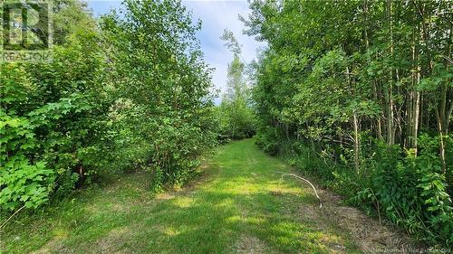 7.6 Acres Rue Pinet, Bertrand, NB 