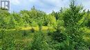 7.6 Acres Rue Pinet, Bertrand, NB 