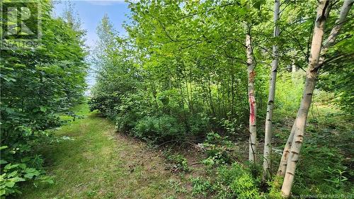 7.6 Acres Rue Pinet, Bertrand, NB 