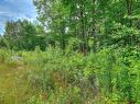 Land/Lot - Ch. Des Gros-Becs, Mont-Blanc, QC 