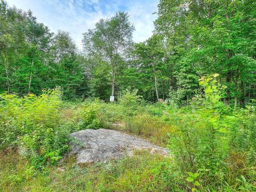 Land/Lot - Ch. Des Gros-Becs, Mont-Blanc, QC 