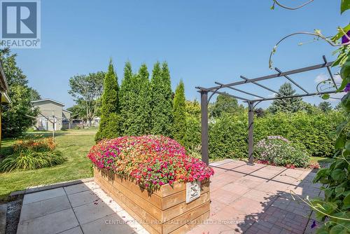 24 Hillview Drive, Hamilton Township, ON - Outdoor