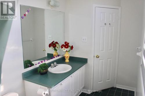 3 Canoe Glide Lane, Brampton (Sandringham-Wellington), ON - Indoor Photo Showing Bathroom