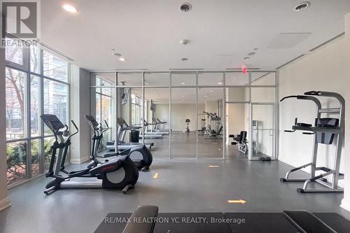 3205 - 70 Forest Manor Road, Toronto (Henry Farm), ON - Indoor Photo Showing Gym Room