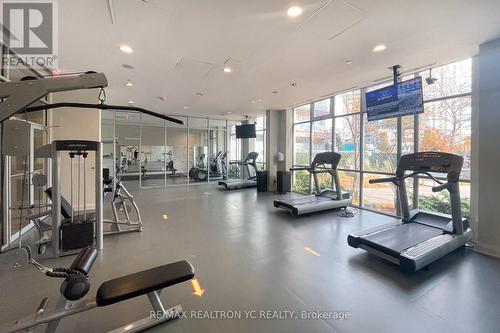 3205 - 70 Forest Manor Road, Toronto (Henry Farm), ON - Indoor Photo Showing Gym Room