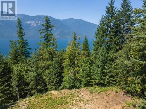 13589 Mountain Shores Road, Gray Creek, BC 