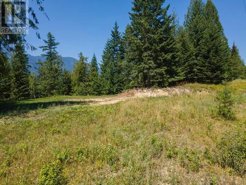 13589 Mountain Shores Road, Gray Creek, BC 