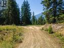 13589 Mountain Shores Road, Gray Creek, BC 