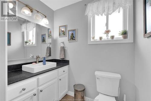 2113 Curry Avenue, Windsor, ON - Indoor Photo Showing Bathroom