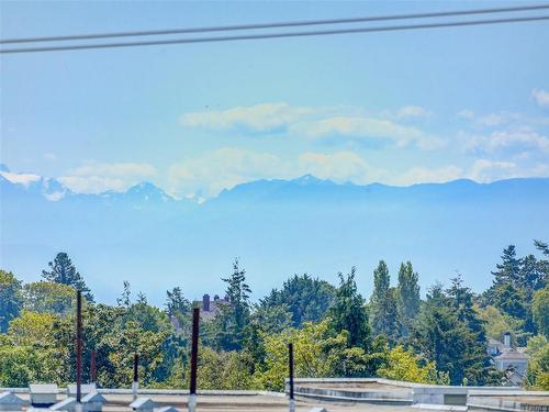 202-1204 Fairfield Rd, Victoria, BC - Outdoor With View