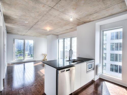 Living room - 1113-2300 Rue Tupper, Montréal (Ville-Marie), QC - Indoor Photo Showing Kitchen With Upgraded Kitchen