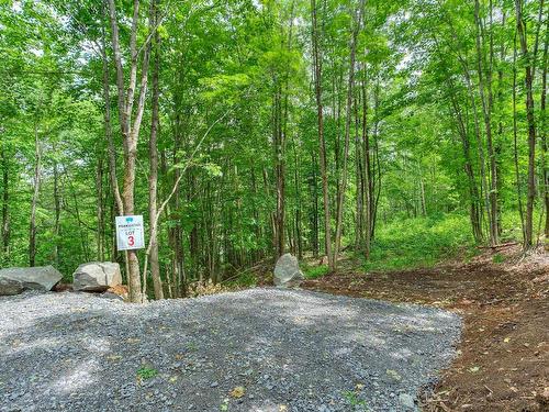 Land/Lot - Ch. Des Gros-Becs, Mont-Blanc, QC 