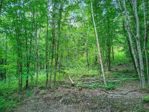 Land/Lot - Ch. Des Gros-Becs, Mont-Blanc, QC 