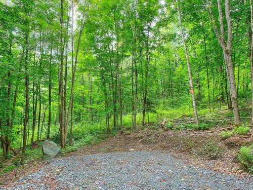 Land/Lot - Ch. Des Gros-Becs, Mont-Blanc, QC 