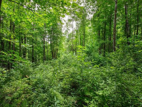 Land/Lot - Ch. Des Gros-Becs, Mont-Blanc, QC 