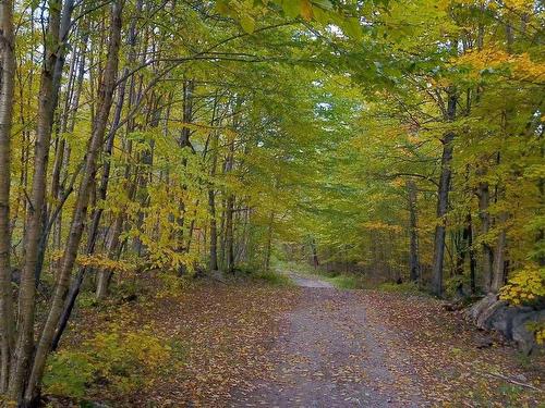 Other - Ch. Des Gros-Becs, Mont-Blanc, QC 