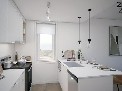 Kitchen - 311-2121 Av. Papineau, Montréal (Ville-Marie), QC - Indoor Photo Showing Kitchen With Upgraded Kitchen