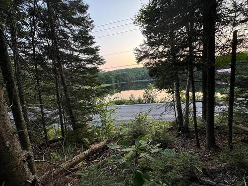 Vue sur l'eau - Ch. Des Grandes-Côtes, La Minerve, QC 