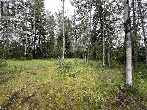 2959 Dragon Lake Road, Quesnel, BC - Outdoor