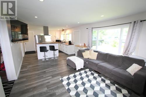 3 Antiquary Road, Kawartha Lakes, ON - Indoor Photo Showing Living Room