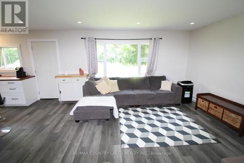 3 Antiquary Road, Kawartha Lakes, ON - Indoor Photo Showing Living Room