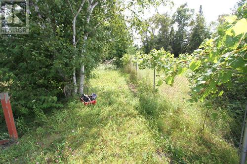 3 Antiquary Road, Kawartha Lakes, ON - Outdoor