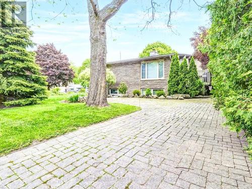 51 Blue Forest Drive, Toronto (Bathurst Manor), ON - Outdoor