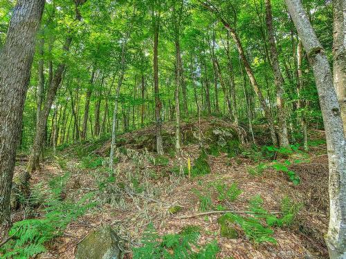 Land/Lot - Ch. Des Gros-Becs, Mont-Blanc, QC 