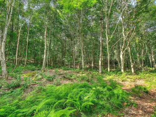 Land/Lot - Ch. Des Gros-Becs, Mont-Blanc, QC 