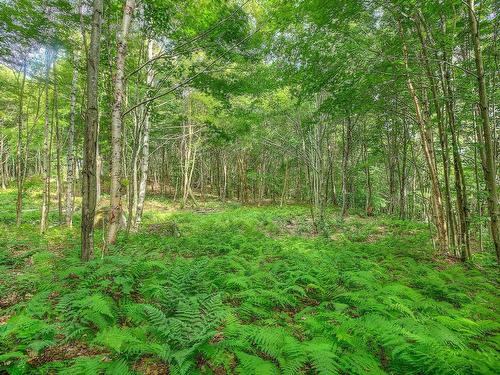 Land/Lot - Ch. Des Gros-Becs, Mont-Blanc, QC 