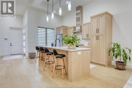 566 Lily Mac, Windsor, ON - Indoor Photo Showing Kitchen