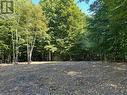 77347 Forest Ridge Road, Central Huron, ON 