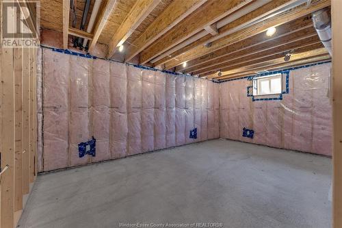 9900 Walker, Amherstburg, ON - Indoor Photo Showing Basement