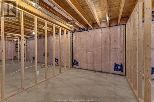 9900 Walker, Amherstburg, ON - Indoor Photo Showing Basement