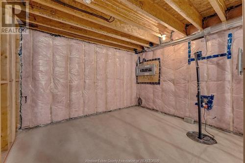 9900 Walker, Amherstburg, ON - Indoor Photo Showing Basement