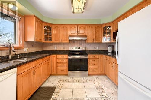 4661 Shadetree Crescent, Windsor, ON - Indoor Photo Showing Kitchen With Double Sink