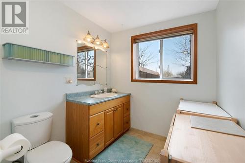 4661 Shadetree Crescent, Windsor, ON - Indoor Photo Showing Bathroom