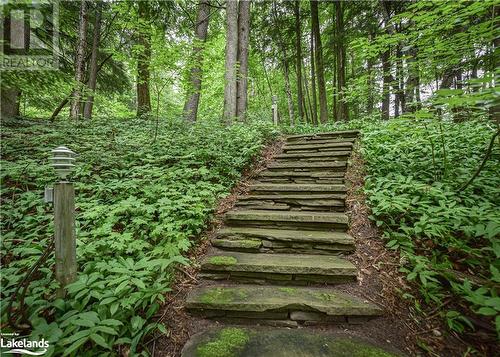 1923 Marchmont Road, Severn, ON - Outdoor