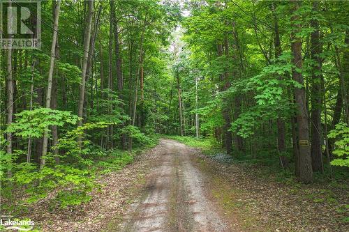 1923 Marchmont Road, Severn, ON - Outdoor