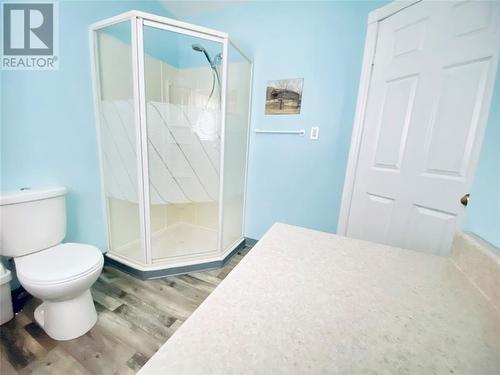 507A Main Street, Bishop'S Falls, NL - Indoor Photo Showing Bathroom