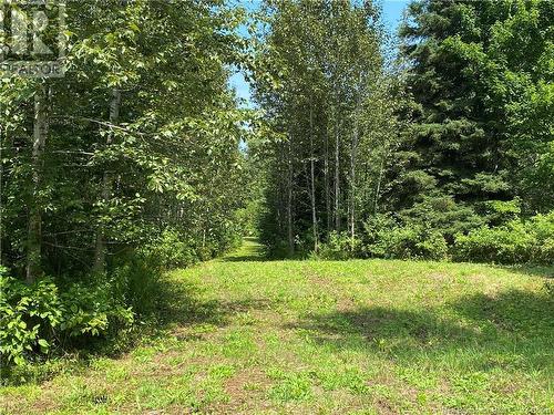 Land Archibald Road, Belledune, NB 