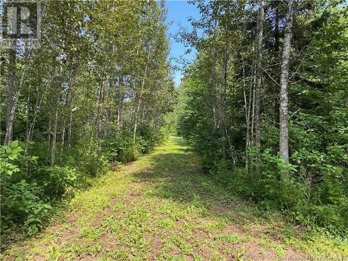 Land Archibald Road, Belledune, NB 