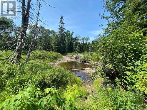 Land Archibald Road, Belledune, NB 