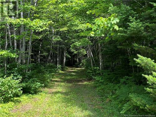 Land Archibald Road, Belledune, NB 