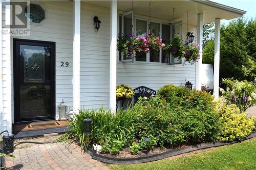 29 Aurora Court, Moncton, NB - Outdoor With Deck Patio Veranda