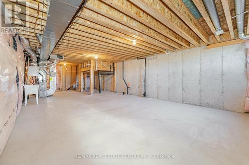 84 Heming Trail, Hamilton (Ancaster), ON - Indoor Photo Showing Basement