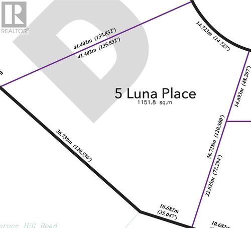 5 Luna Place, Conception Bay South, NL 