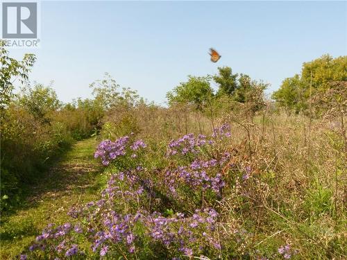 3320 County 27 Road, Brockville, ON - Outdoor With View